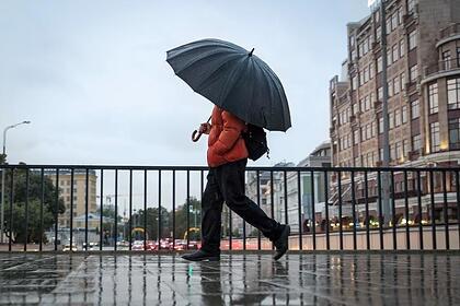 Москвичам предсказали рекордно теплую ночь