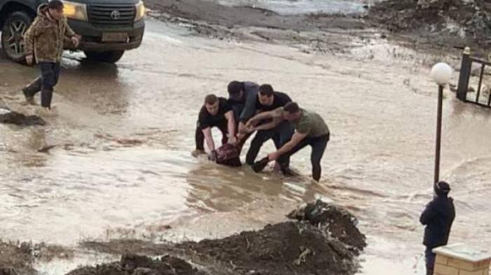 Школьницу затянуло в арык с грязной водой в Актобе
                01 апреля 2022, 04:20