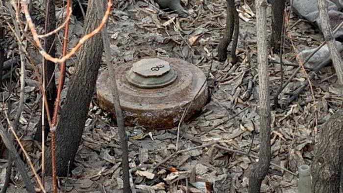 Житель Петропавловска обнаружил металлический предмет,  похожий на мину
