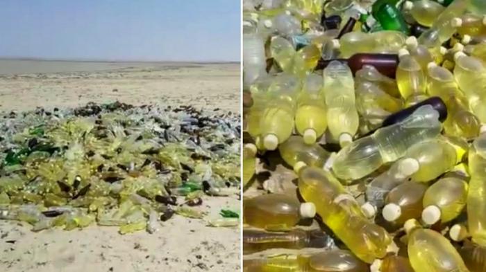 Экологи определили, что было в бутылках, выброшенных в пригороде Актау
                12 мая 2022, 03:29