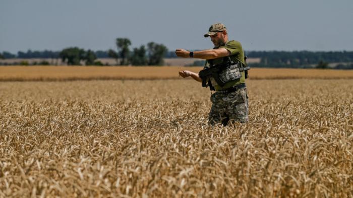 Что произошло в Украине ночью 21 июля
                21 июля 2022, 09:17