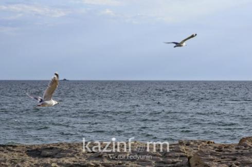 Обеспечить позицию Каспийского моря в качестве моря мира предложил Касым-Жомарт Токаев