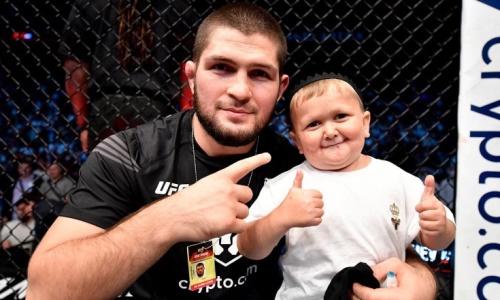 Знаменитый голливудский актер попросил Хасбика ударить его на турнире UFC. Видео