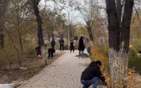 В центральном парке Балхаша провели последний в этом году субботник и высадили деревья