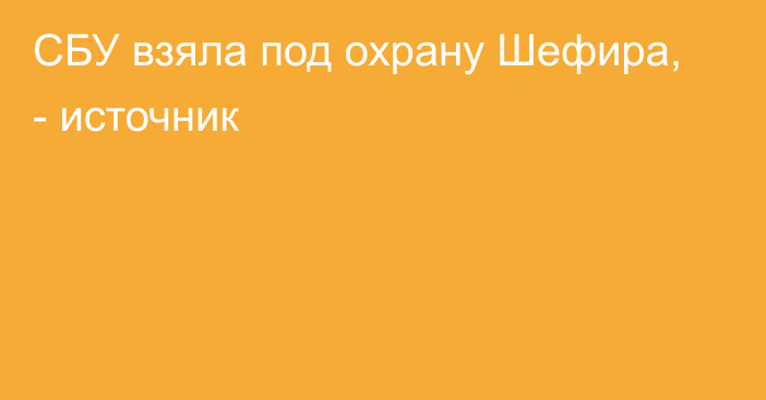 СБУ взяла под охрану Шефира, - источник