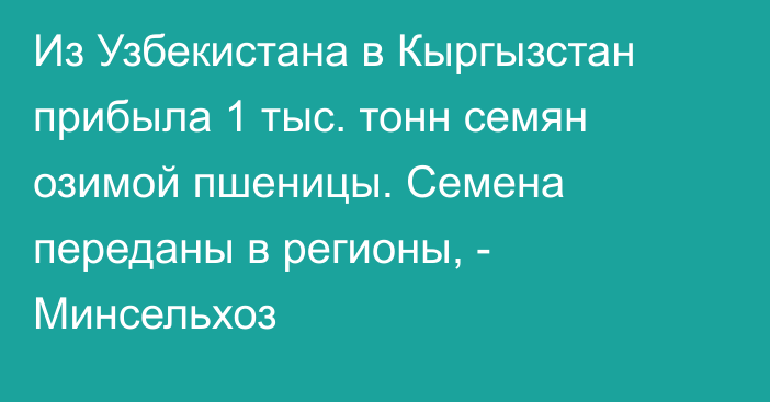 Из Узбекистана в Кыргызстан прибыла 1 тыс. тонн семян озимой пшеницы. Семена переданы в регионы, - Минсельхоз