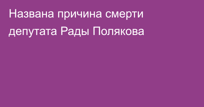 Названа причина смерти депутата Рады Полякова