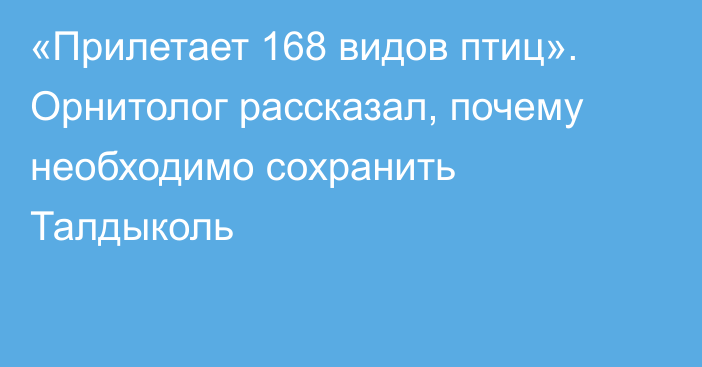 «Прилетает 168 видов птиц». Орнитолог рассказал, почему необходимо сохранить Талдыколь