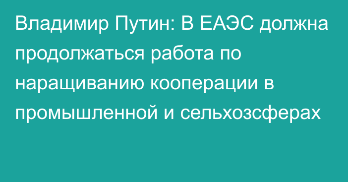 Владимир Путин: В ЕАЭС должна продолжаться работа по наращиванию кооперации в промышленной и сельхозсферах