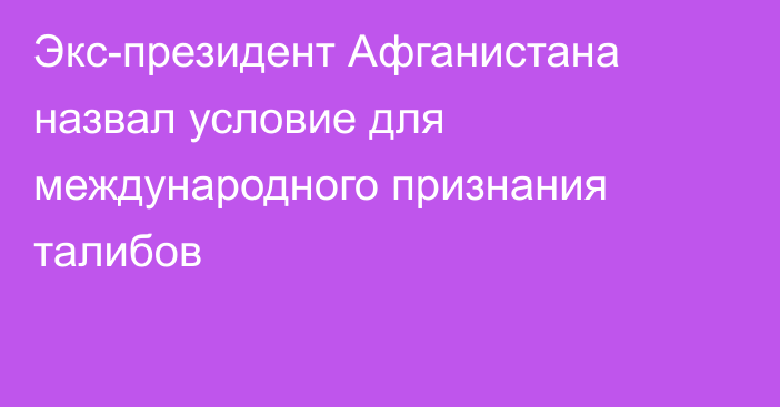 Экс-президент Афганистана назвал условие для международного признания талибов