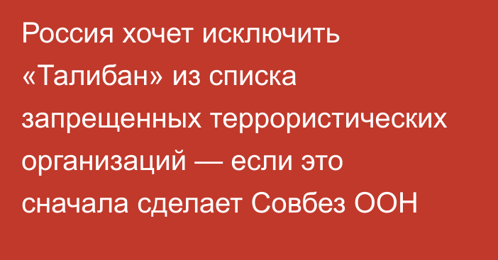 Россия хочет исключить «Талибан» из списка запрещенных террористических организаций — если это сначала сделает Совбез ООН