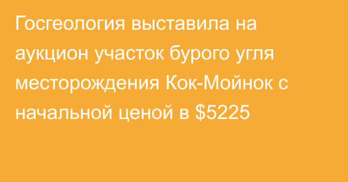 Госгеология выставила на аукцион участок бурого угля месторождения Кок-Мойнок с начальной ценой в $5225