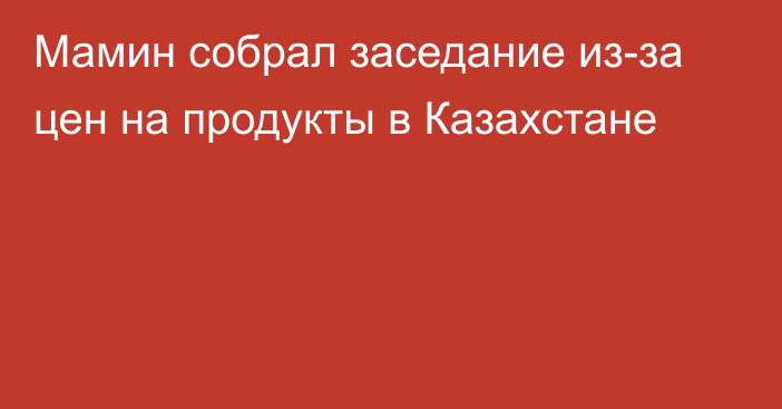 Мамин собрал заседание из-за цен на продукты в Казахстане