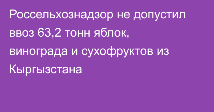 Россельхознадзор не допустил ввоз 63,2 тонн яблок, винограда и сухофруктов из Кыргызстана