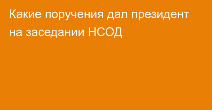 Какие поручения дал президент на заседании НСОД