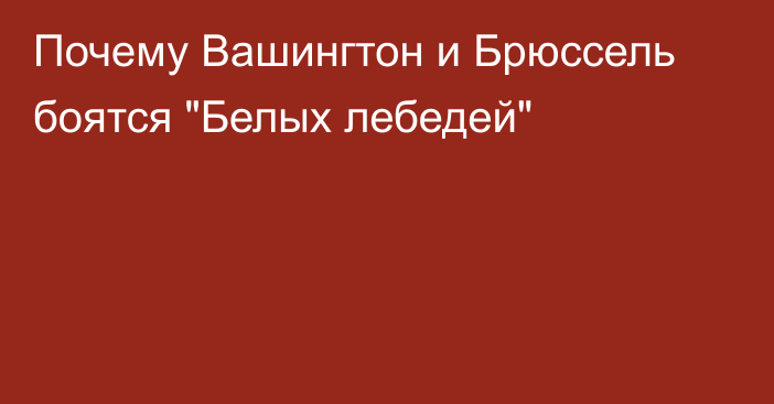 Почему Вашингтон и Брюссель боятся 