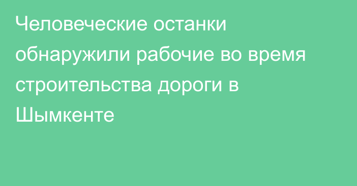 Человеческие останки обнаружили рабочие во время строительства дороги в Шымкенте