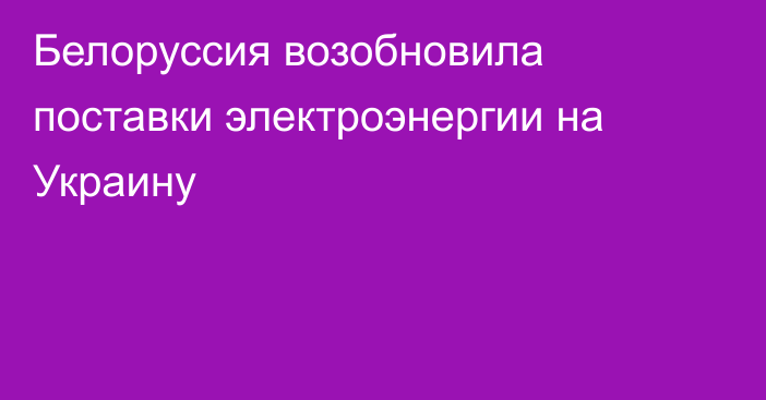 Белоруссия возобновила поставки электроэнергии на Украину