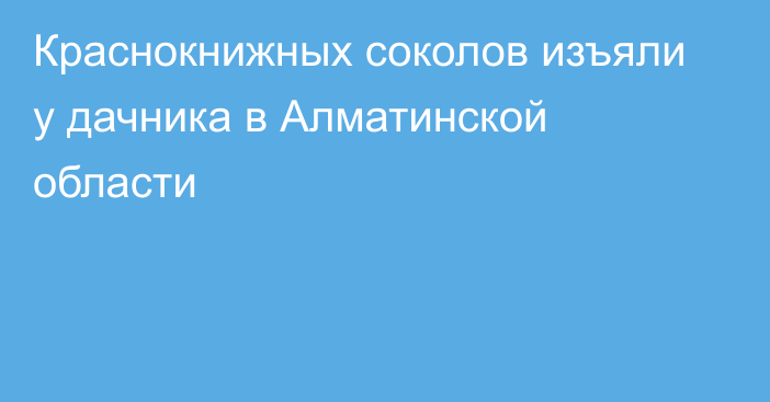 Краснокнижных соколов изъяли у дачника в Алматинской области