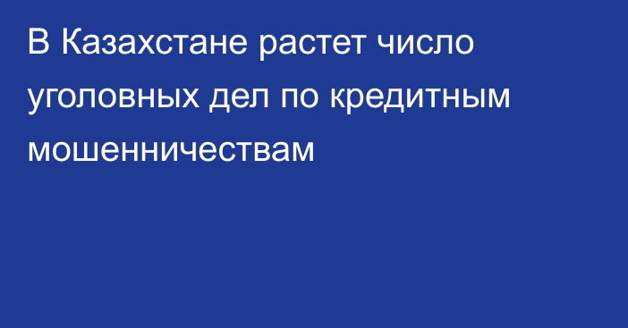 В Казахстане растет число уголовных дел по кредитным мошенничествам