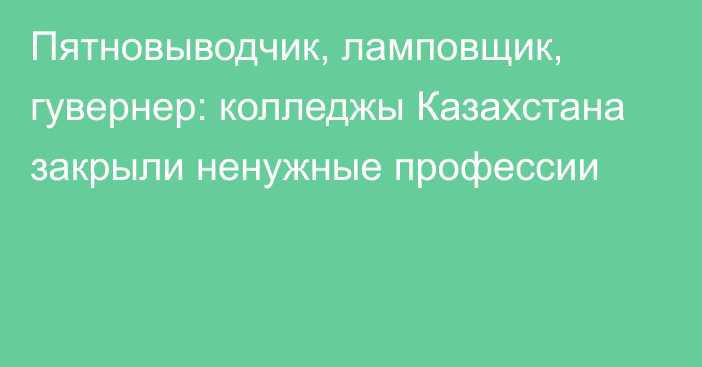 Пятновыводчик, ламповщик, гувернер: колледжы Казахстана закрыли ненужные профессии