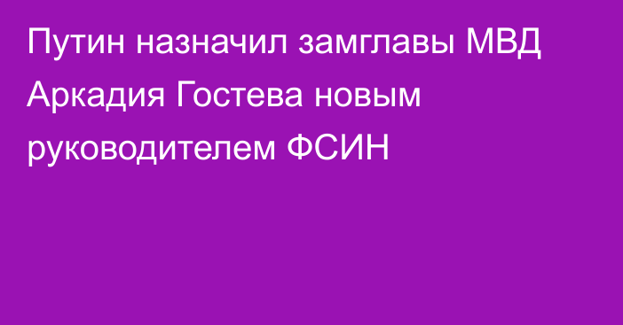 Путин назначил замглавы МВД Аркадия Гостева новым руководителем ФСИН