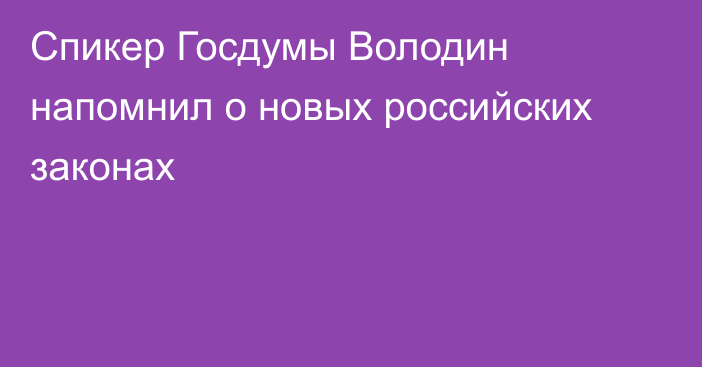 Спикер Госдумы Володин напомнил о новых российских законах