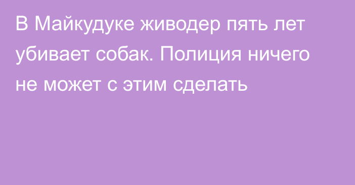 В Майкудуке живодер пять лет убивает собак. Полиция ничего не может с этим сделать