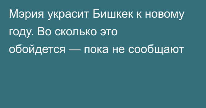 Мэрия украсит Бишкек к новому году. Во сколько это обойдется — пока не сообщают