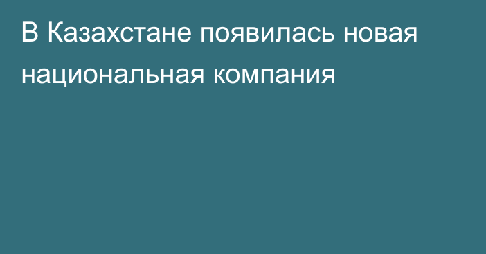 В Казахстане появилась новая национальная компания