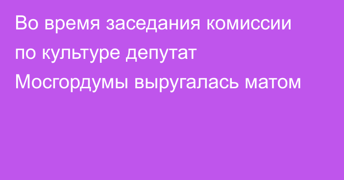 Во время заседания комиссии по культуре депутат Мосгордумы выругалась матом