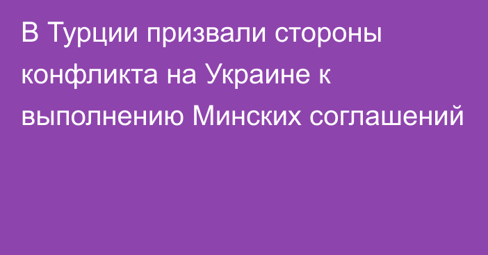 В Турции призвали стороны конфликта на Украине к выполнению Минских соглашений