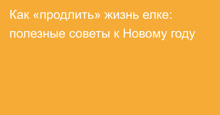 Как «продлить» жизнь елке: полезные советы к Новому году