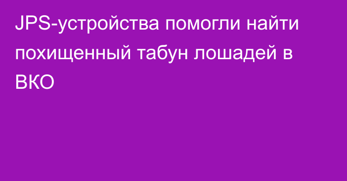 JPS-устройства помогли найти похищенный табун лошадей в ВКО