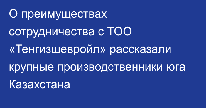 О преимуществах сотрудничества с ТОО «Тенгизшевройл» рассказали крупные производственники юга Казахстана