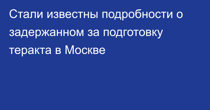 Стали известны подробности о задержанном за подготовку теракта в Москве