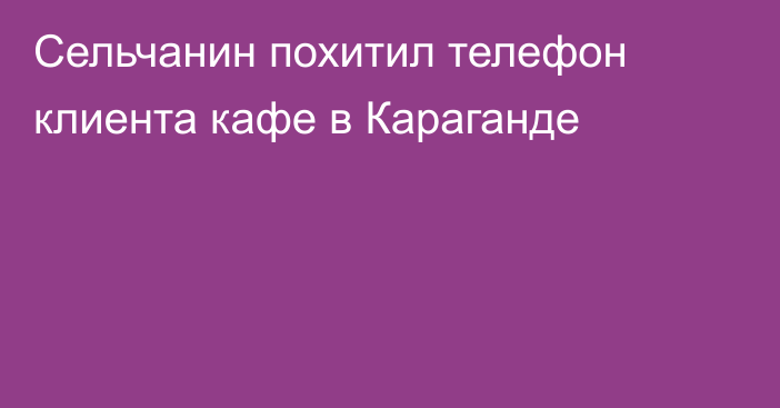 Сельчанин похитил телефон клиента кафе в Караганде