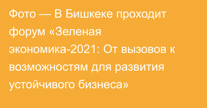 Фото — В Бишкеке проходит форум «Зеленая экономика-2021: От вызовов к возможностям для развития устойчивого бизнеса»