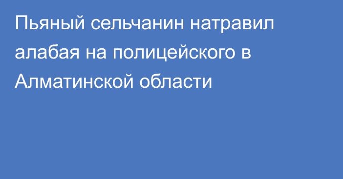 Пьяный сельчанин натравил алабая на полицейского в Алматинской области