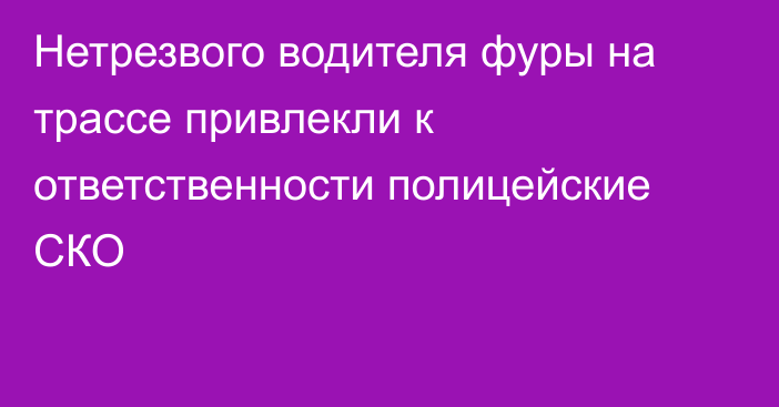 Нетрезвого водителя фуры на трассе привлекли к ответственности полицейские СКО