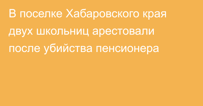 В поселке Хабаровского края двух школьниц арестовали после убийства пенсионера