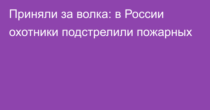 Приняли за волка: в России охотники подстрелили пожарных