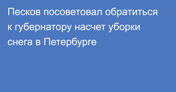 Песков посоветовал обратиться к губернатору насчет уборки снега в Петербурге