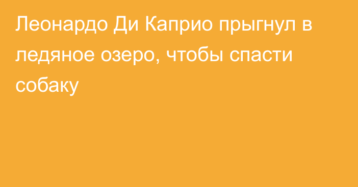 Леонардо Ди Каприо прыгнул в ледяное озеро, чтобы спасти собаку