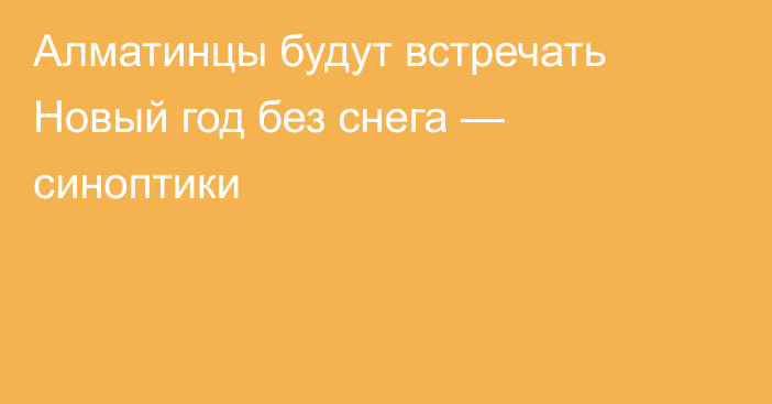 Алматинцы будут встречать Новый год без снега — синоптики