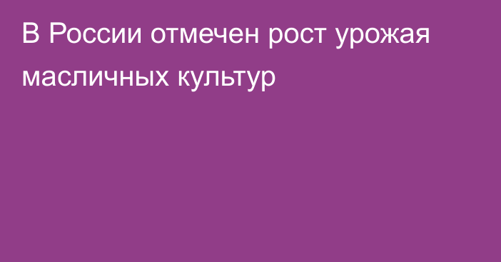 В России отмечен рост урожая масличных культур