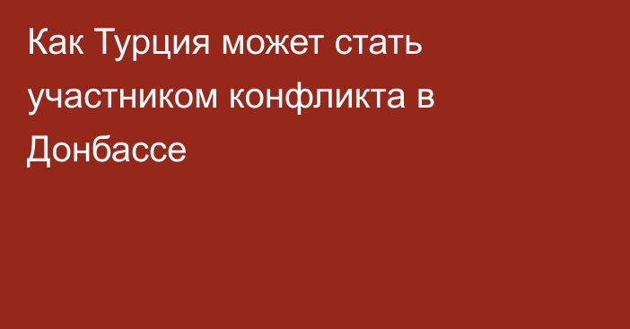 Как Турция может стать участником конфликта в Донбассе