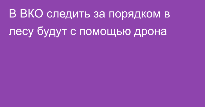 В ВКО следить за порядком в лесу будут с помощью дрона