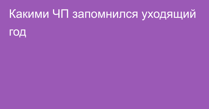 Какими ЧП запомнился уходящий год