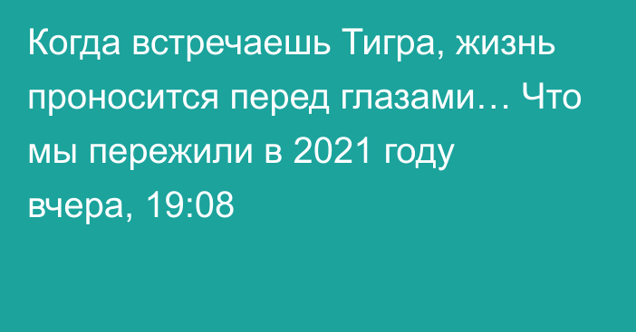 Когда встречаешь Тигра, жизнь проносится перед глазами… Что мы пережили в 2021 году
                вчера, 19:08